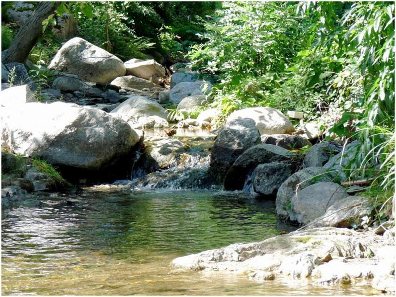 Gites En Cevennes "Chez Steloune" Genolhac Экстерьер фото