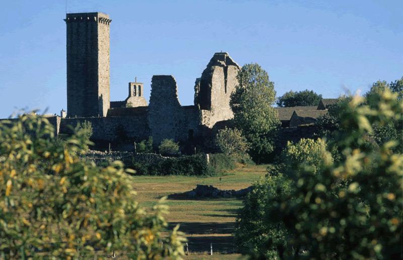 Gites En Cevennes "Chez Steloune" Genolhac Экстерьер фото