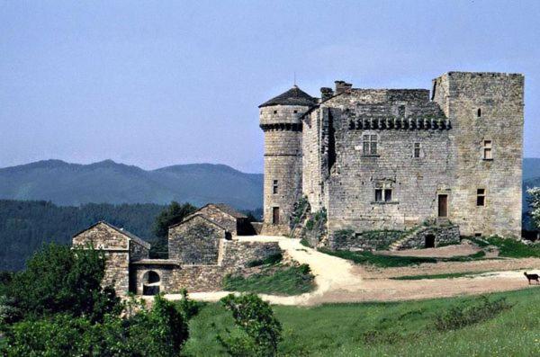 Gites En Cevennes "Chez Steloune" Genolhac Экстерьер фото