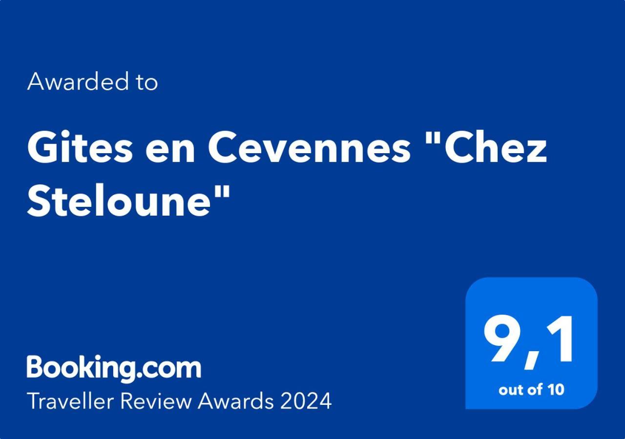 Gites En Cevennes "Chez Steloune" Genolhac Экстерьер фото